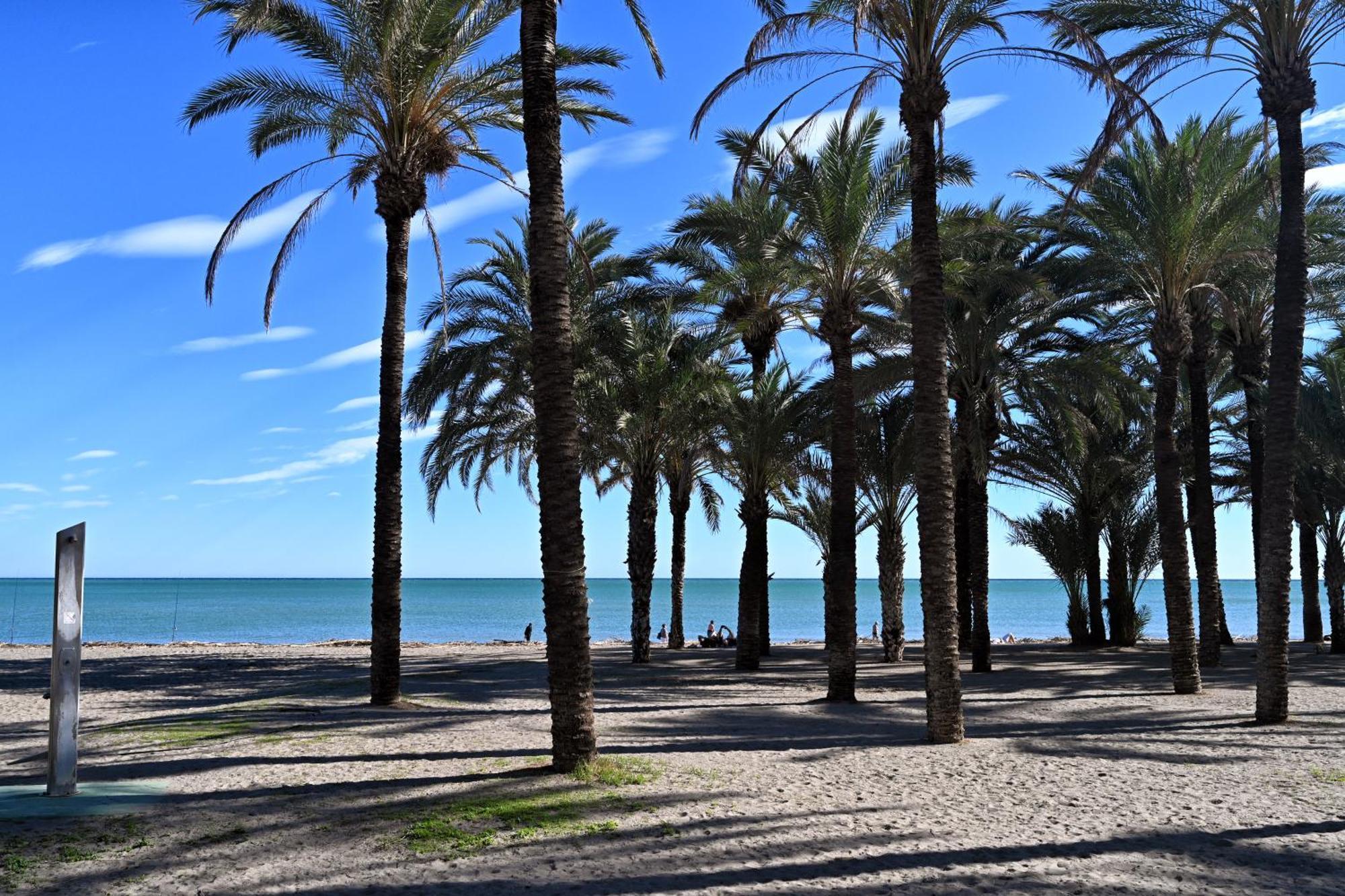 Love Rent4 Malaga Alamar トレモリノス エクステリア 写真